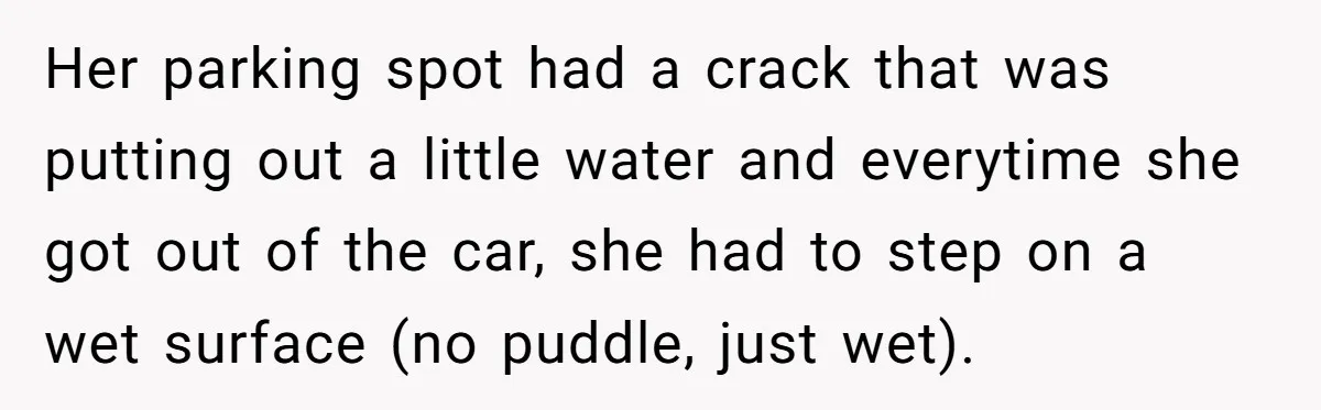 Her parking spot had a crack that was putting out a little water and everytime she got out of the car, she had to step on a wet surface (no...