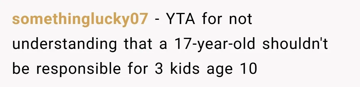 somethinglucky07 − YTA for not understanding that a 17-year-old shouldn't be responsible for 3 kids age 10