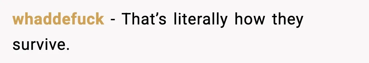 Tired Of Unwanted Religious Mail, They Finds A $5 Revenge That Sends A Message whaddefuck - That’s literally how they survive.