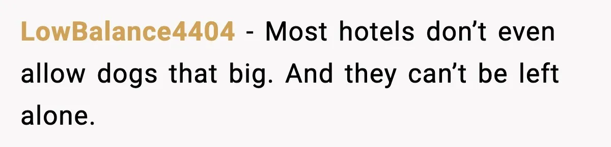 LowBalance4404 - Most hotels don’t even allow dogs that big. And they can’t be left alone.
