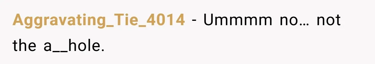 Aggravating_Tie_4014 − Ummmm no… not the a__hole.