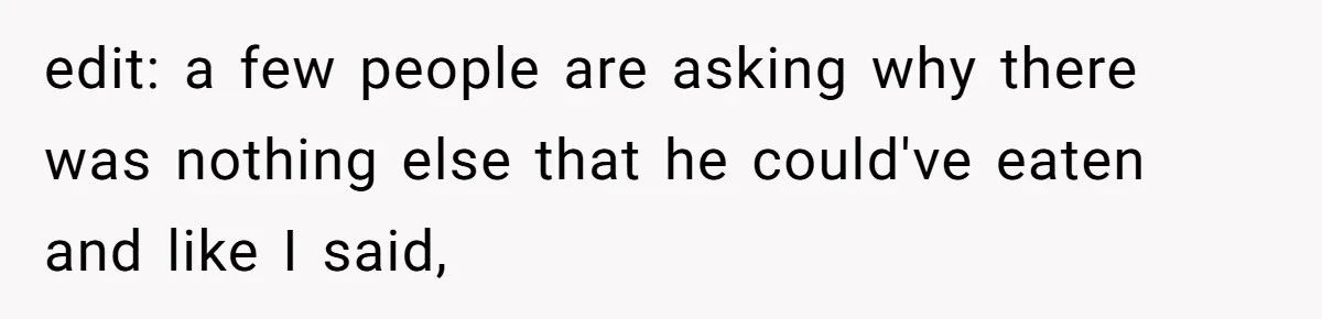 edit: a few people are asking why there was nothing else that he could've eaten and like I said,