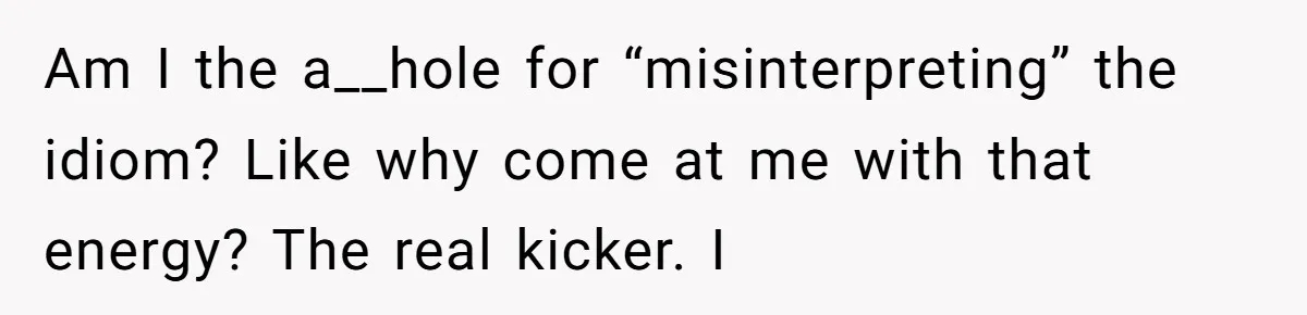Am I the a__hole for “misinterpreting” the idiom? Like why come at me with that energy? The real kicker. I