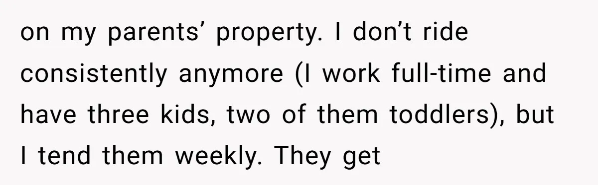 on my parents’ property. I don’t ride consistently anymore (I work full-time and have three kids, two of them toddlers), but I tend them weekly. They get