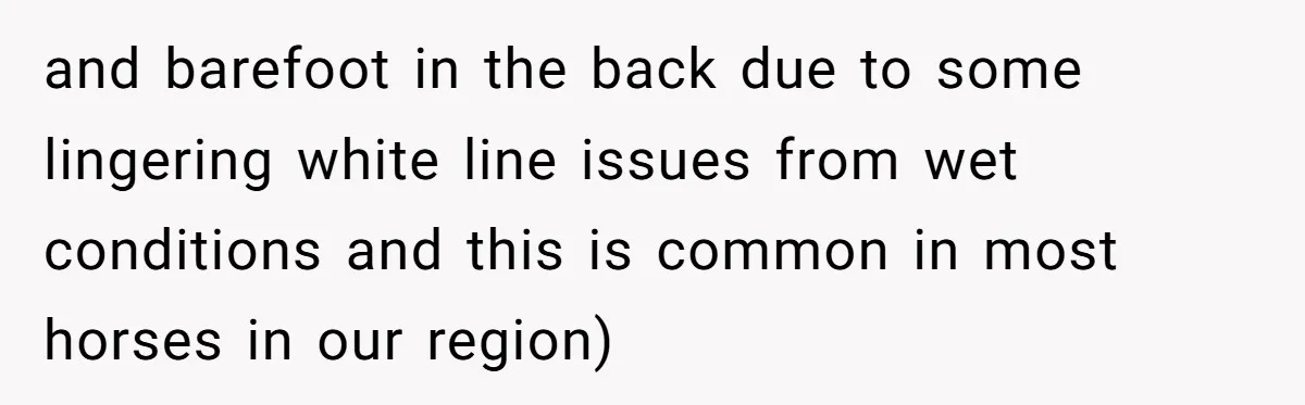 and barefoot in the back due to some lingering white line issues from wet conditions and this is common in most horses in our region)