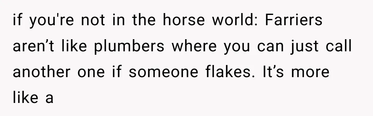 if you're not in the horse world: Farriers aren’t like plumbers where you can just call another one if someone flakes. It’s more like a
