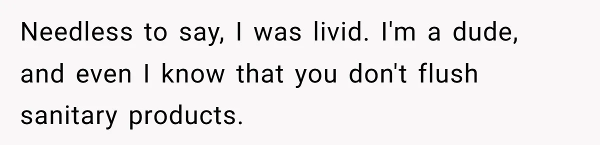 To Flush or Not to Flush: A Clogged Toilet Causes an Unexpected Relationship Rift Needless to say, I was livid. I'm a dude, and even I know that you don't flush sanitary products.