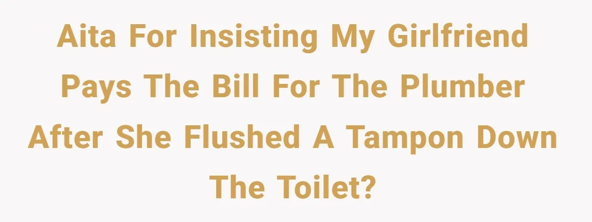 To Flush or Not to Flush: A Clogged Toilet Causes an Unexpected Relationship Rift AITA for insisting my girlfriend pays the bill for the plumber after she flushed a tampon down the toilet?
