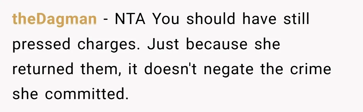 theDagman − NTA You should have still pressed charges. Just because she returned them, it doesn't negate the crime she committed.