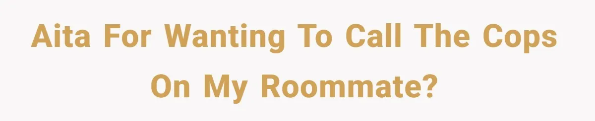 AITA for wanting to call the cops on my roommate?