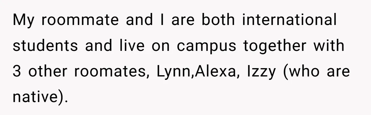 My roommate and I are both international students and live on campus together with 3 other roomates, Lynn,Alexa, Izzy (who are native).