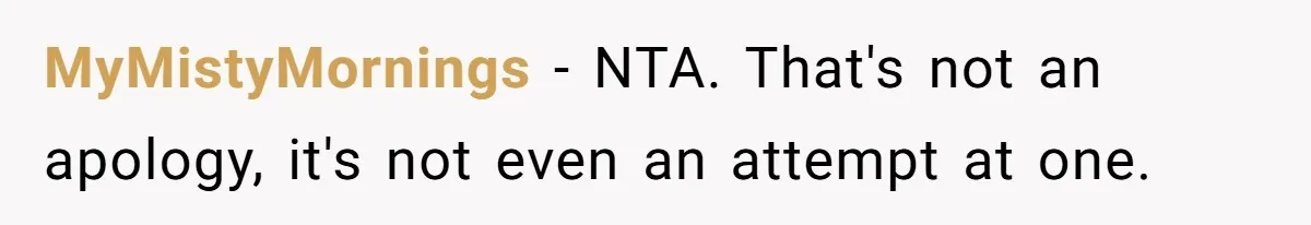 MyMistyMornings − NTA. That's not an apology, it's not even an attempt at one.