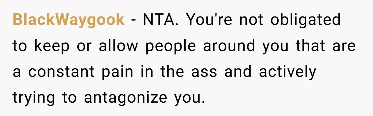 BlackWaygook − NTA. You're not obligated to keep or allow people around you that are a constant pain in the ass and actively trying to antagonize you.