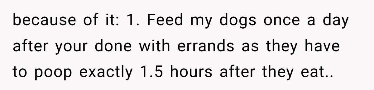 because of it: 1. Feed my dogs once a day after your done with errands as they have to poop exactly 1.5 hours after they eat..