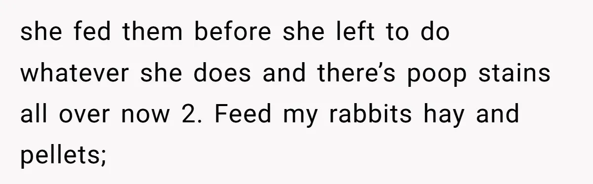 she fed them before she left to do whatever she does and there’s poop stains all over now 2. Feed my rabbits hay and pellets;