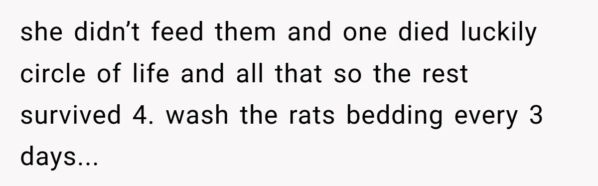 she didn’t feed them and one died luckily circle of life and all that so the rest survived 4. wash the rats bedding every 3 days...