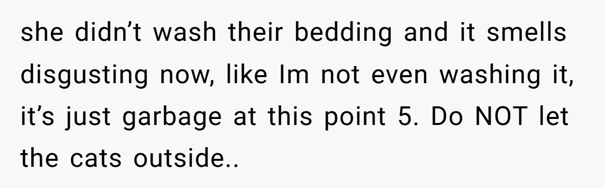 she didn’t wash their bedding and it smells disgusting now, like Im not even washing it, it’s just garbage at this point 5. Do NOT let the cats outside..