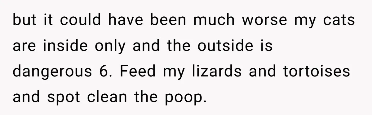 but it could have been much worse my cats are inside only and the outside is dangerous 6. Feed my lizards and tortoises and spot clean the poop.