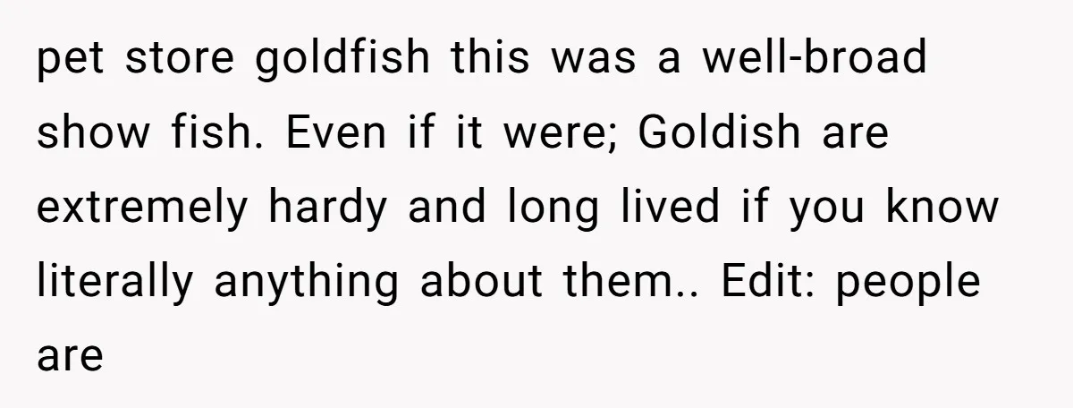 pet store goldfish this was a well-broad show fish. Even if it were; Goldish are extremely hardy and long lived if you know literally anything about them.. Edit: people are