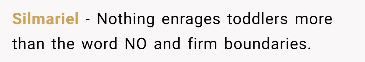 Silmariel − Nothing enrages toddlers more than the word NO and firm boundaries.