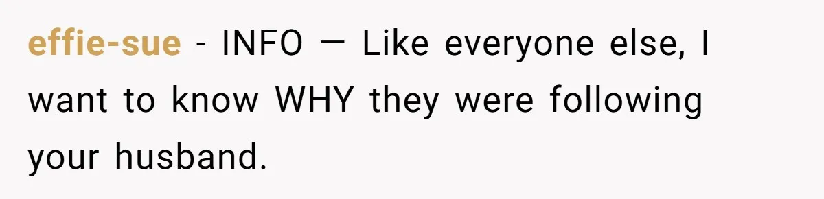 effie-sue − INFO — Like everyone else, I want to know WHY they were following your husband.