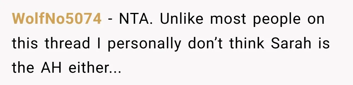 WolfNo5074 − NTA. Unlike most people on this thread I personally don’t think Sarah is the AH either...