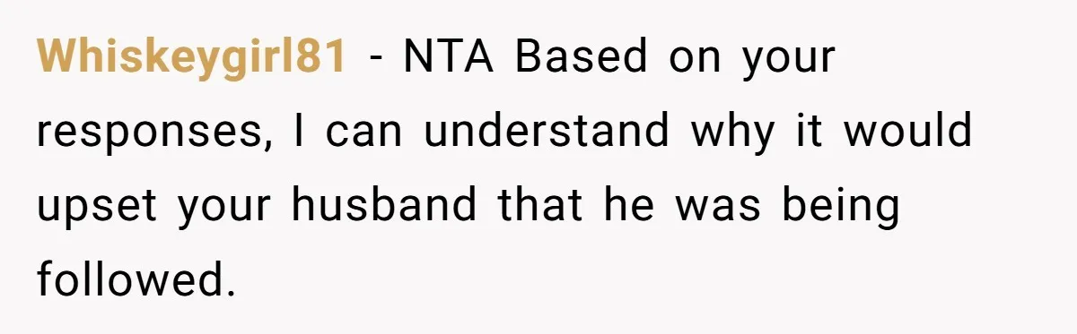 Whiskeygirl81 − NTA Based on your responses, I can understand why it would upset your husband that he was being followed.