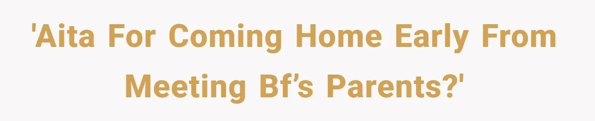 She Refuses To Pay For Meal, Boyfriend’s Family Turns Against Her 'AITA for coming home early from meeting bf’s parents?'