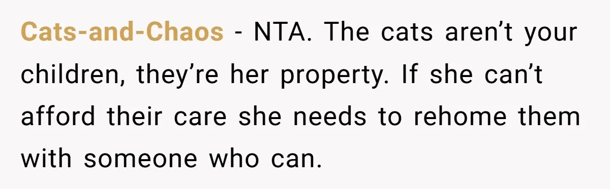 Cats-and-Chaos − NTA. The cats aren’t your children, they’re her property. If she can’t afford their care she needs to rehome them with someone who can.