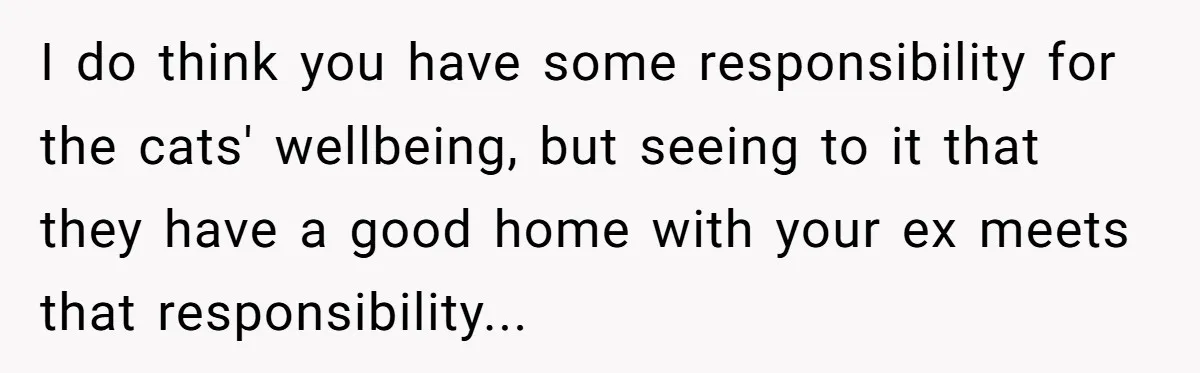 I do think you have some responsibility for the cats' wellbeing, but seeing to it that they have a good home with your ex meets that responsibility...