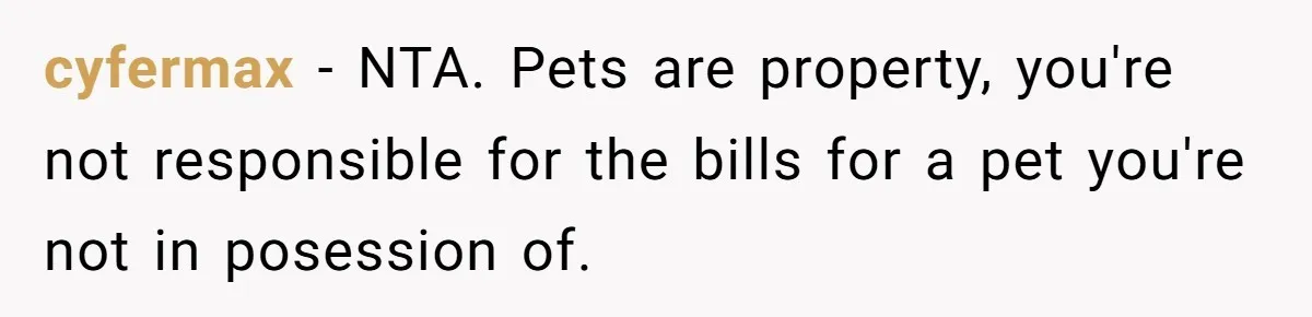 cyfermax − NTA. Pets are property, you're not responsible for the bills for a pet you're not in posession of.