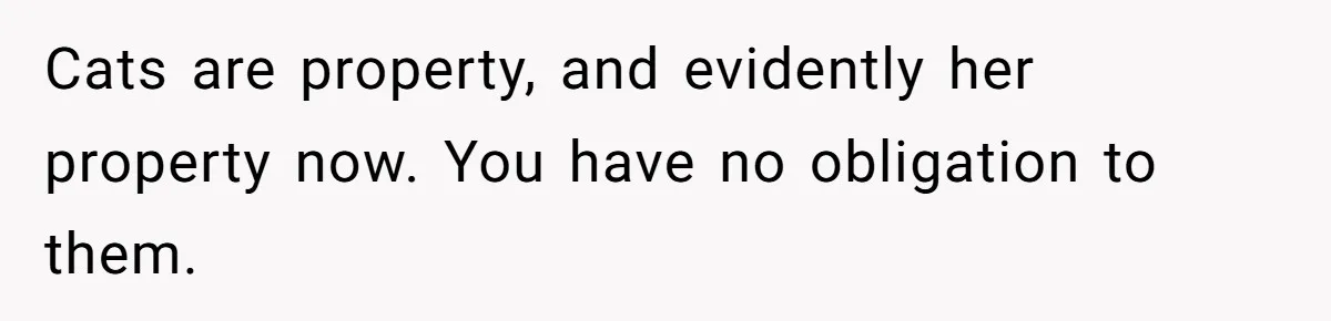 Cats are property, and evidently her property now. You have no obligation to them.