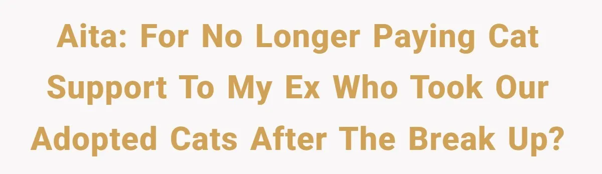 AITA: For no longer paying cat support to my ex who took our adopted cats after the break up?