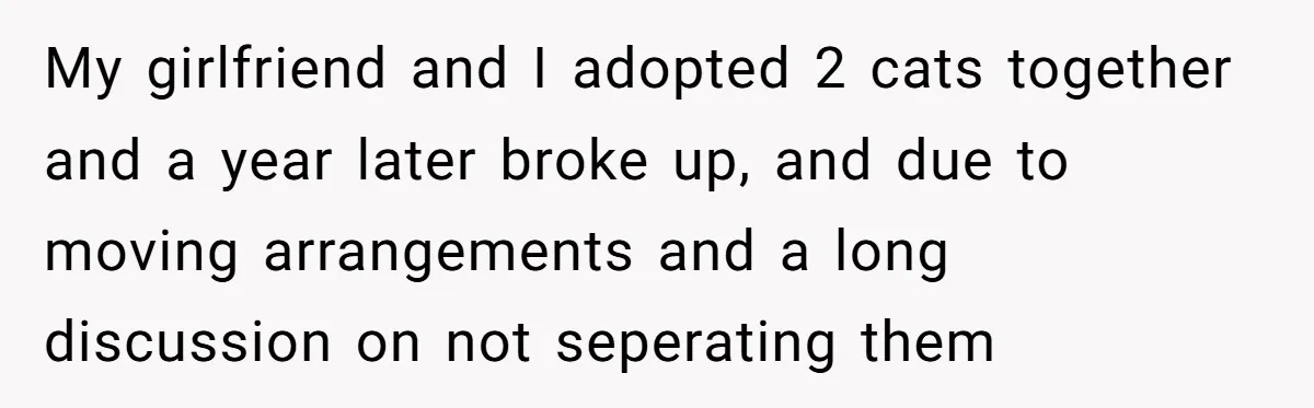 My girlfriend and I adopted 2 cats together and a year later broke up, and due to moving arrangements and a long discussion on not seperating them