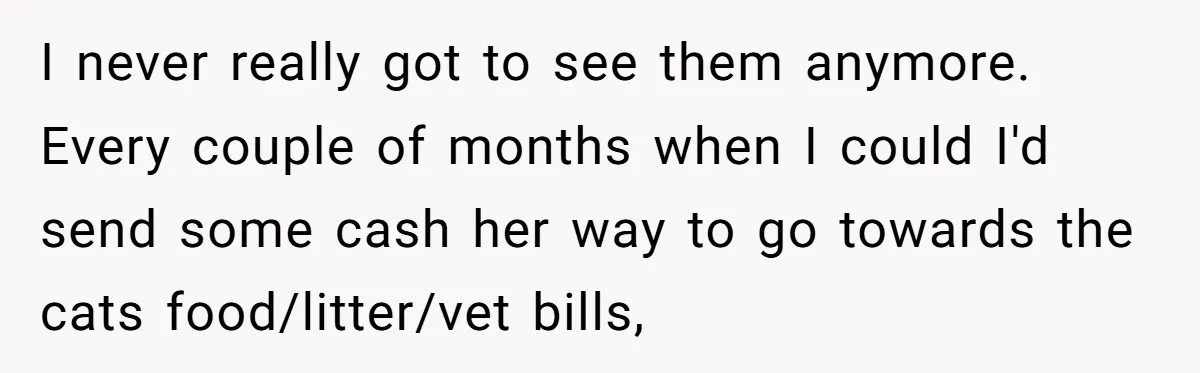 I never really got to see them anymore. Every couple of months when I could I'd send some cash her way to go towards the cats food/litter/vet bills,