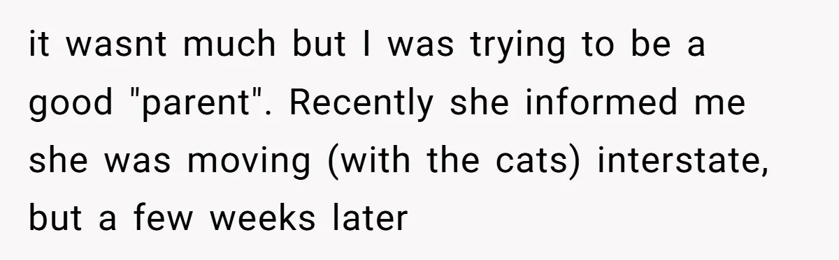 it wasnt much but I was trying to be a good "parent". Recently she informed me she was moving (with the cats) interstate, but a few weeks later