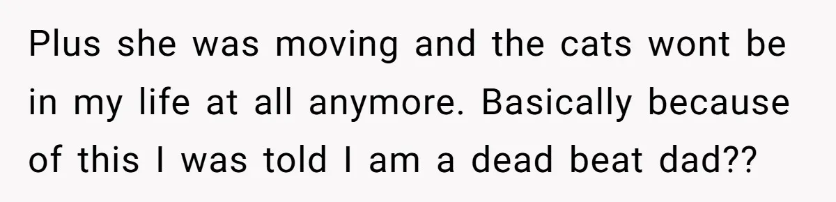 Plus she was moving and the cats wont be in my life at all anymore. Basically because of this I was told I am a dead beat dad??
