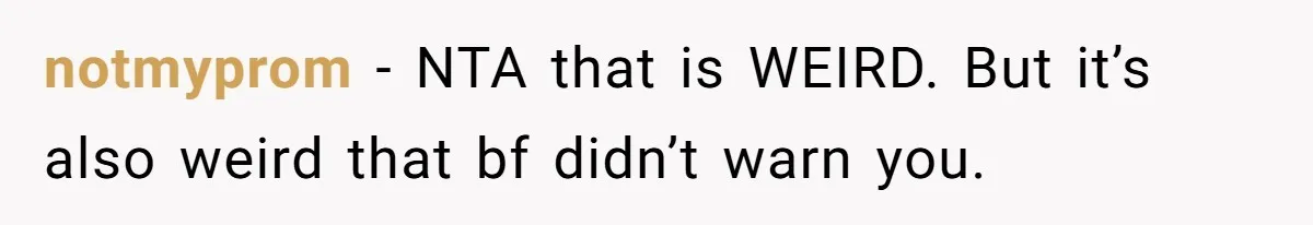 She Refuses To Pay For Meal, Boyfriend’s Family Turns Against Her notmyprom − NTA that is WEIRD. But it’s also weird that bf didn’t warn you.