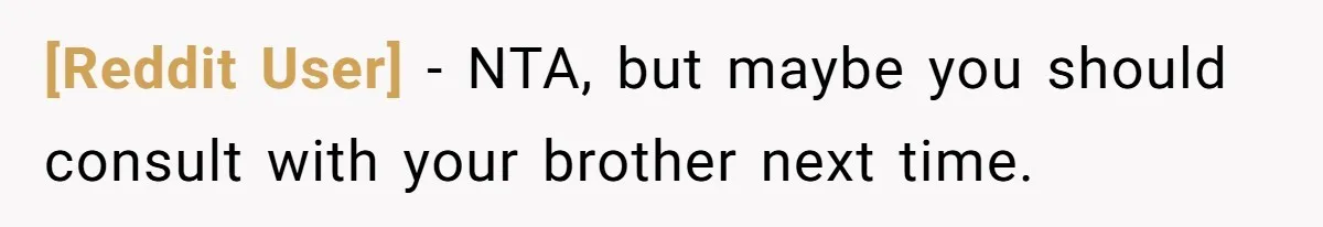 [Reddit User] − NTA, but maybe you should consult with your brother next time.