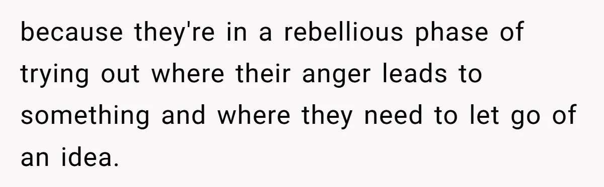 because they're in a rebellious phase of trying out where their anger leads to something and where they need to let go of an idea.