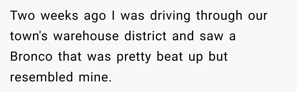 Two weeks ago I was driving through our town's warehouse district and saw a Bronco that was pretty beat up but resembled mine.