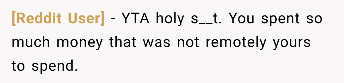 [Reddit User] − YTA holy s__t. You spent so much money that was not remotely yours to spend.