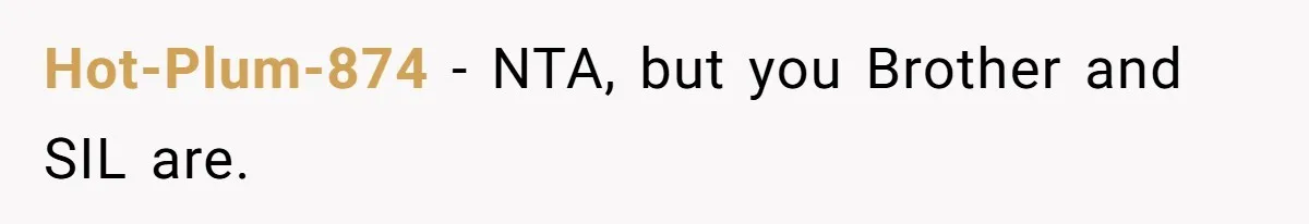 Hot-Plum-874 − NTA, but you Brother and SIL are.