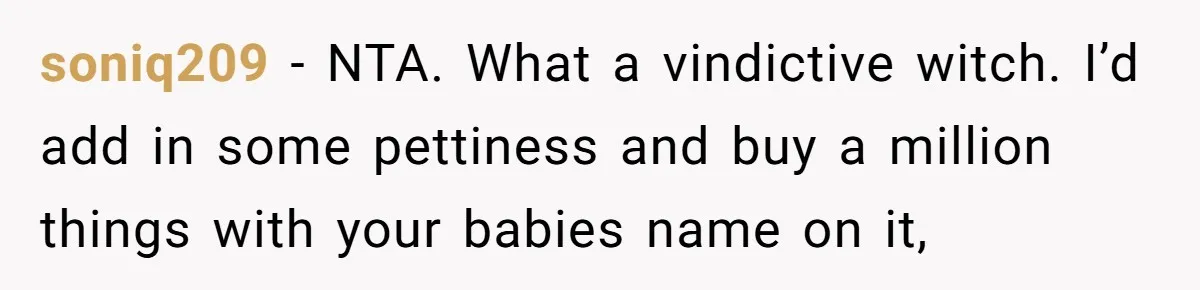 soniq209 − NTA. What a vindictive witch. I’d add in some pettiness and buy a million things with your babies name on it,