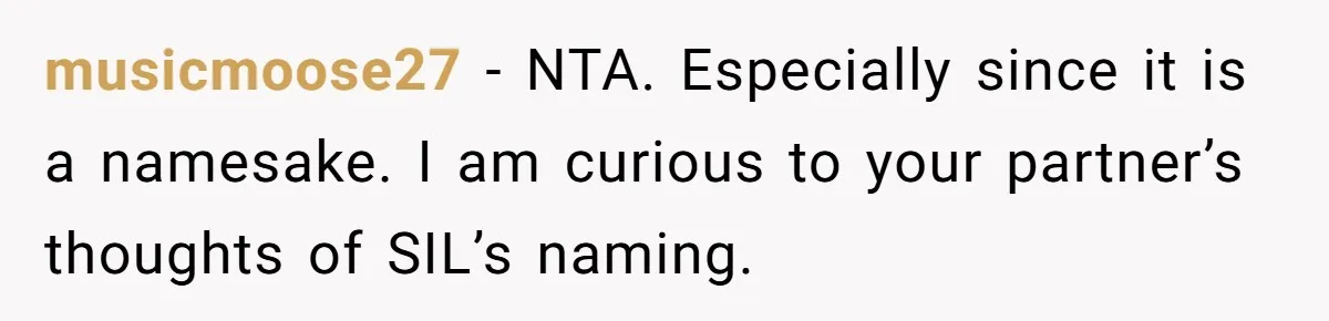 musicmoose27 − NTA. Especially since it is a namesake. I am curious to your partner’s thoughts of SIL’s naming.