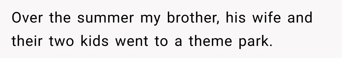 Over the summer my brother, his wife and their two kids went to a theme park.