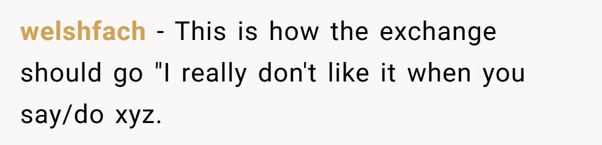 welshfach − This is how the exchange should go "I really don't like it when you say/do xyz.