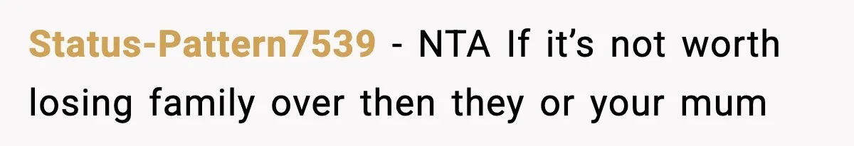 Status-Pattern7539 − NTA If it’s not worth losing family over then they or your mum