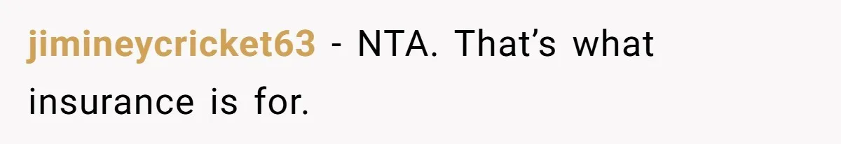 jimineycricket63 − NTA. That’s what insurance is for.