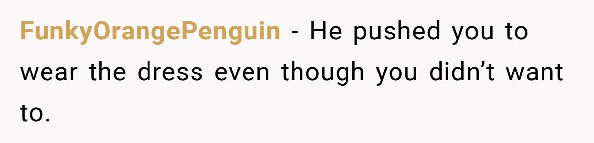 FunkyOrangePenguin − He pushed you to wear the dress even though you didn’t want to.